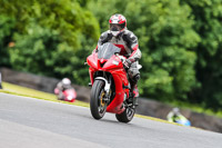 PJ-Motorsport-Photography-2020;anglesey;brands-hatch;cadwell-park;croft;donington-park;enduro-digital-images;event-digital-images;eventdigitalimages;mallory;no-limits;oulton-park;peter-wileman-photography;racing-digital-images;silverstone;snetterton;trackday-digital-images;trackday-photos;vmcc-banbury-run;welsh-2-day-enduro
